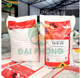 POLY-FEED 16-8-34 - HAIFA - ISRAEL