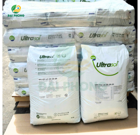 NPK 20-20-20 SQM Hà Lan