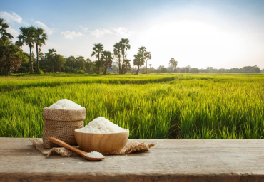 Kỹ thuật trồng trọt