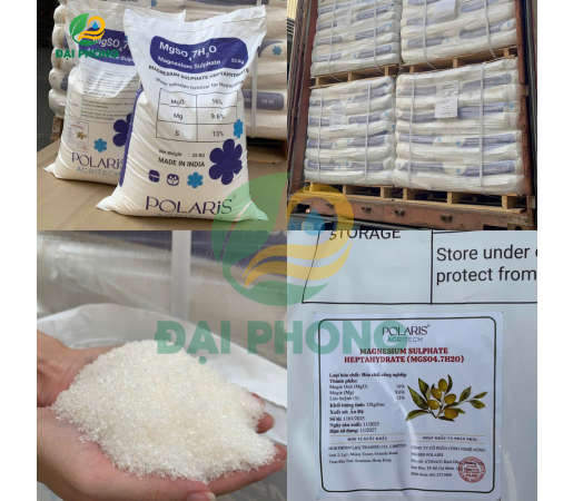 PHÂN BÓN MAGNESIUM SULPHATE (MgSO4) XUẤT XỨ ẤN ĐỘ 