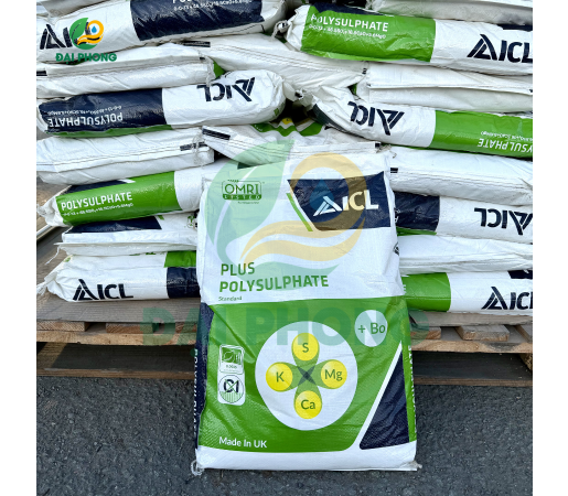 ICL Plus Polysulphate Standard (+Bo) - Anh Quốc 