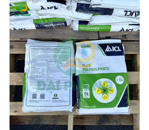 ICL Plus Polysulphate Standard (+Bo) - Anh Quốc 