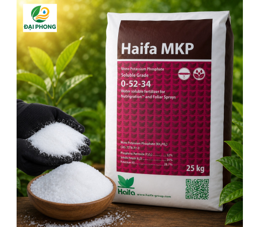 PHÂN BÓN MKP (0-52-34)  - HAIFA - XUẤT XỨ ISRAEL 
