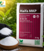 PHÂN BÓN MKP (0-52-34)  - HAIFA - XUẤT XỨ ISRAEL 